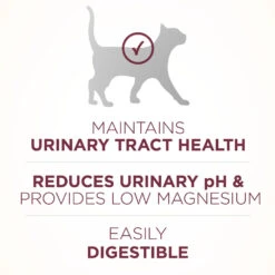 Purina ONE High Protein +Plus Urinary Tract Health Formula Dry Cat Food, 16-lb Bag -Cat Food And Treats Shop purina one high protein plus urinary tract health formula dry cat food 16 lb bag 108