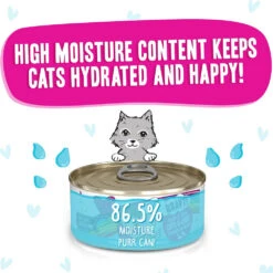 Weruva BFF OMG Lots-O-Luck! Duck & Tuna Dinner In Gravy Grain-Free Canned Cat Food, 5.5-oz, Case Of 8 -Cat Food And Treats Shop weruva bff omg lots o luck duck tuna dinner in gravy wet cat food 8x5 5oz 132