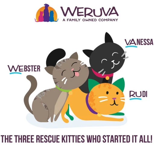 Weruva BFF OMG Lots-O-Luck! Duck & Tuna Dinner In Gravy Grain-Free Canned Cat Food, 5.5-oz, Case Of 8 -Cat Food And Treats Shop weruva bff omg lots o luck duck tuna dinner in gravy wet cat food 8x5 5oz 138