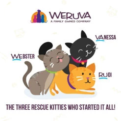 Weruva BFF Rainbow A Gogo Variety Pack Wet Cat Food Pouches, 3-oz, Case Of 12 -Cat Food And Treats Shop weruva bff rainbow a gogo variety pack wet cat food pouches 3 oz case of 12 70